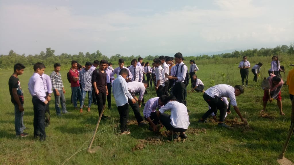 एभरेष्ट मल्टिपल कलेजद्धारा वृक्षारोपण सम्पन्न