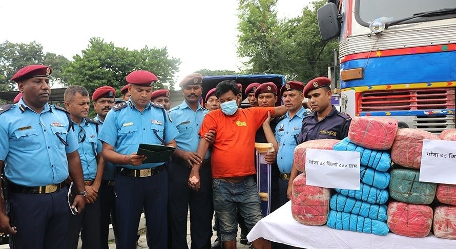 गाँजा बोकिरहेका ट्रक ड्राइभर भागे पछि गोली हानेर पक्राउ