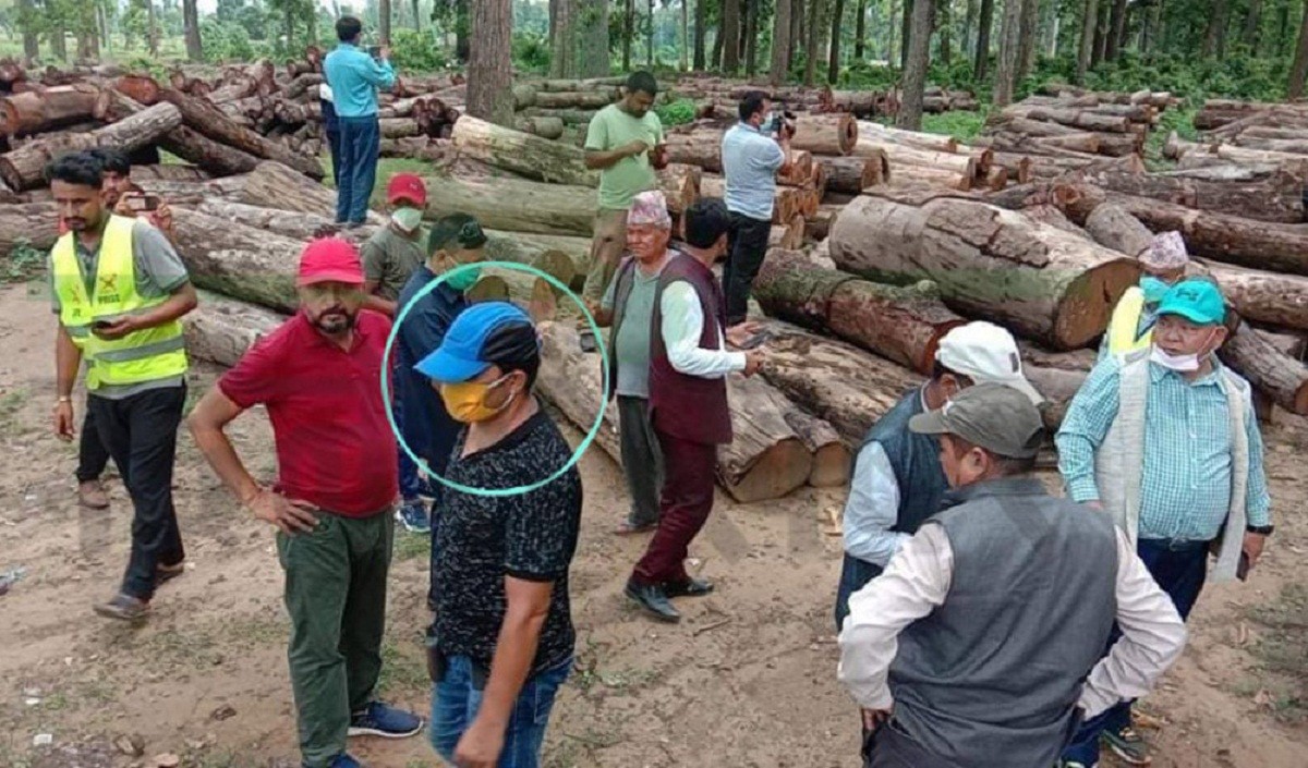 घूस सहित समातिएका सहायक वन अधिकृत डिसी संसदीय छानबिन टोलीका ‘विज्ञ’ !