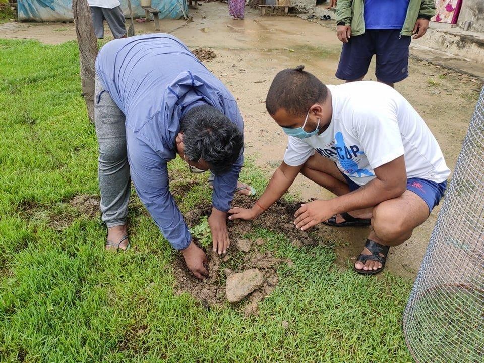 'न्यु सृजनशिल युवा क्लव' (सिवाईसी) को आयोजनामा वृक्षारोपण सम्पन्न