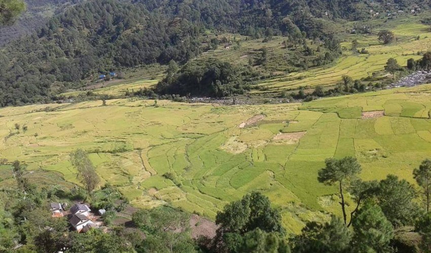 डोटीको जोरायल गाउँपालिकाका सबै वडा सडक सञ्जालमा