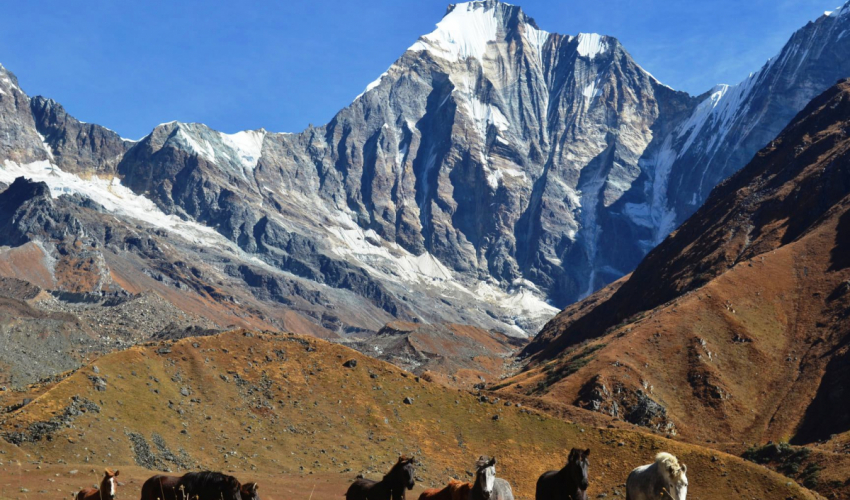 अपि नाम्पा संरक्षण क्षेत्र अढाई वर्षदेखि परिषदविहीन,  कानुनी जटिलताले परिषद् गठन हुन सकेन