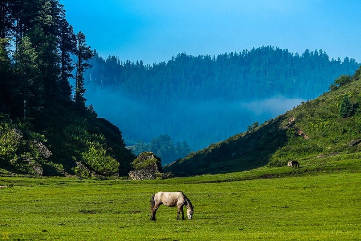 भूस्वर्गका रुपमा चिनिने खप्तड पर्यटकको आर्कषणको केन्द्र बन्दै