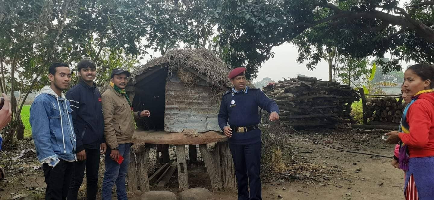 गोदावरी नगरपालीकाको १० र १२ वडामा ११५ छाउपडी गोठहरु भत्काईए