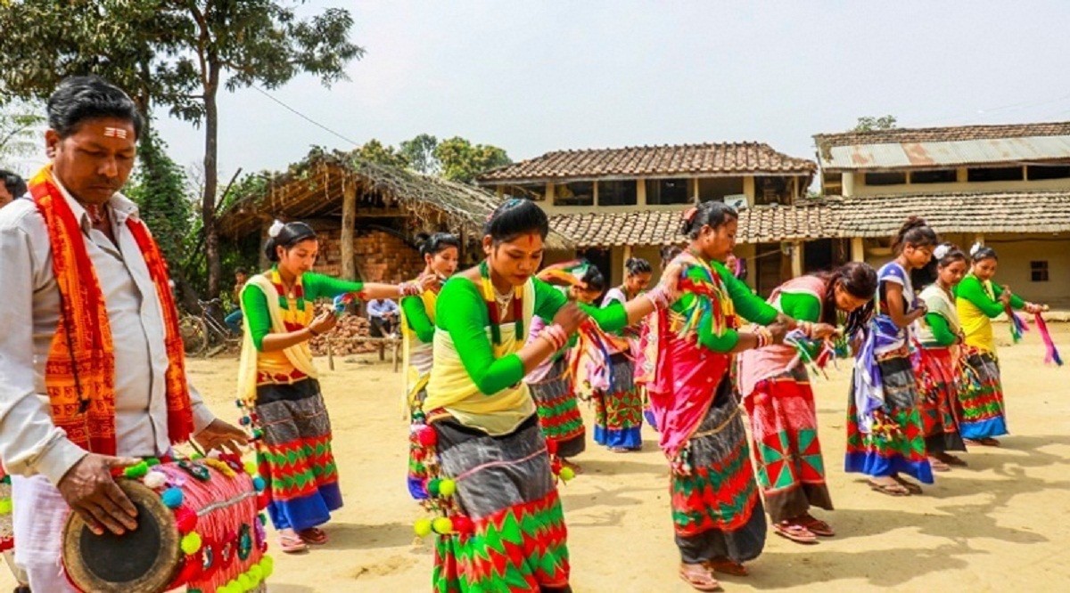 यस बर्षको दशैंमा छैन थारु गाउँमा रौनक