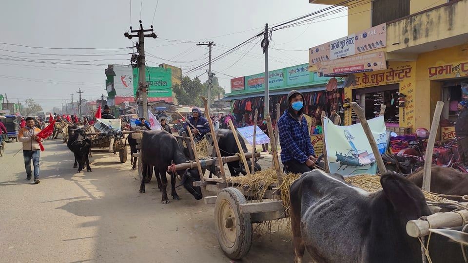 प्रधानमन्त्री विरुद्ध धनगढीमा बयलगाडा र्‍याली निकालियो