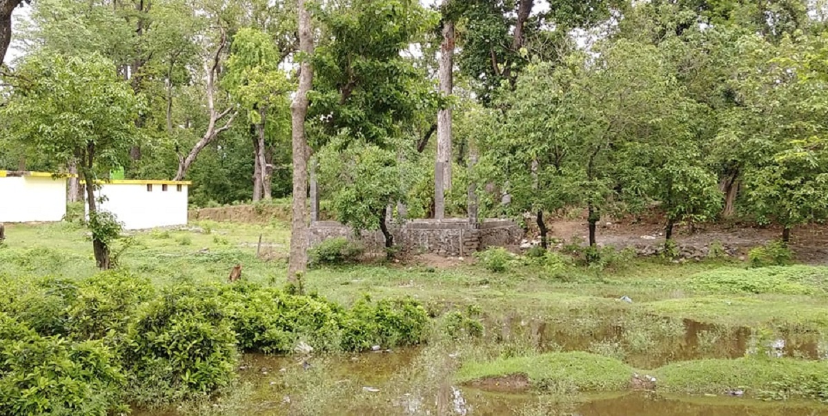 अत्तरिया क्षेत्रको वन सखाप हुँदै  : सामुदायिक बनका पदाधिकारी र बनका कर्मचारी टुलुटुलु हेर्दै 