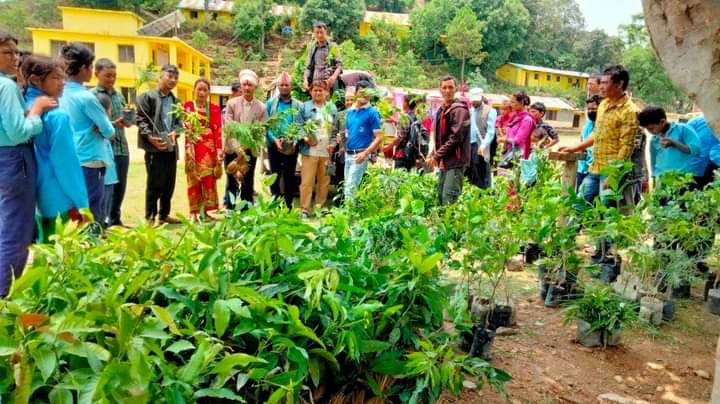 अछामका एक वडाअध्यक्षले रोपे आफूले पाएको मतको दोब्बर बिरुवा