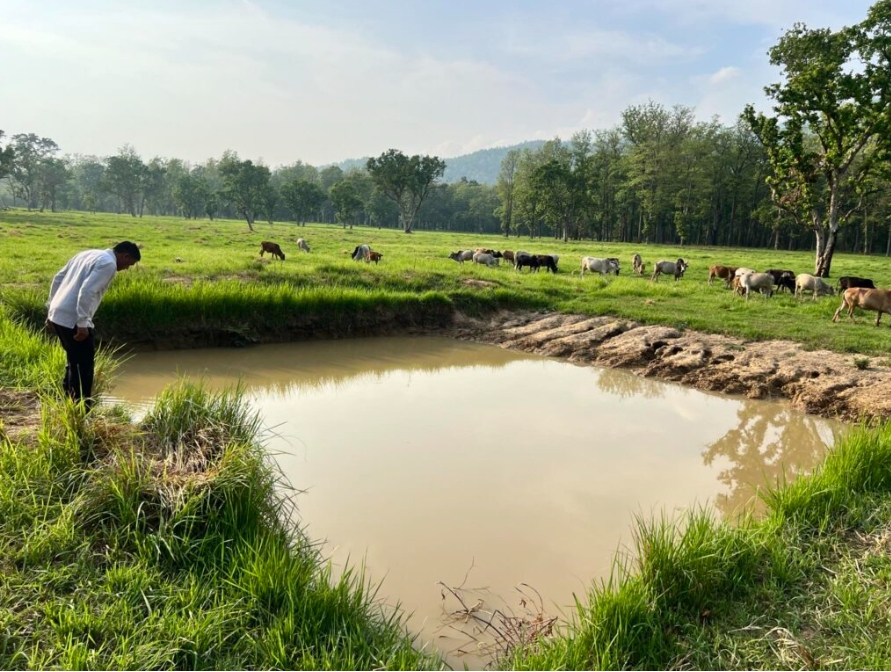 कैलालीका सामुदायिक बनमा बन्यजन्तु  को लागि पोखरी निर्माण