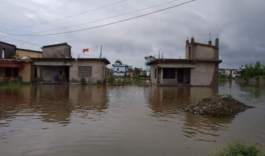 धनगढीमा एक वडाको पानी निकास गर्दा अर्को वडामा डुबान