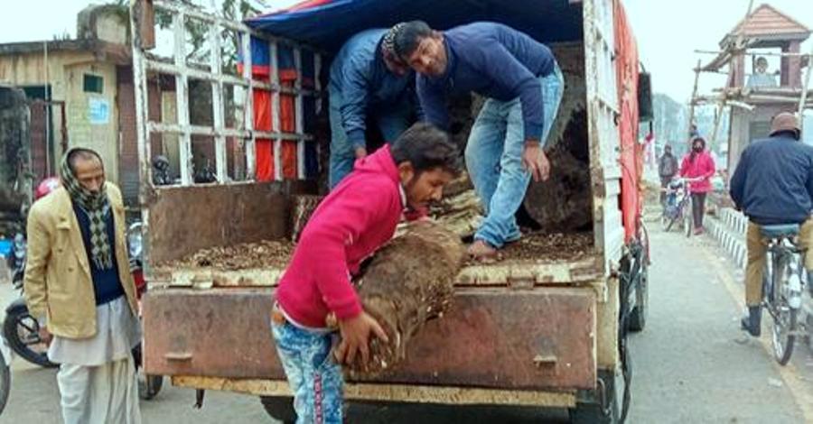 कञ्चनपुरमा चिसोबाट बच्न मुढा वितरण , चिसोबाट विपन्न परिवार, बालबालिका र जेष्ठ नागरिक बढी प्रभावित