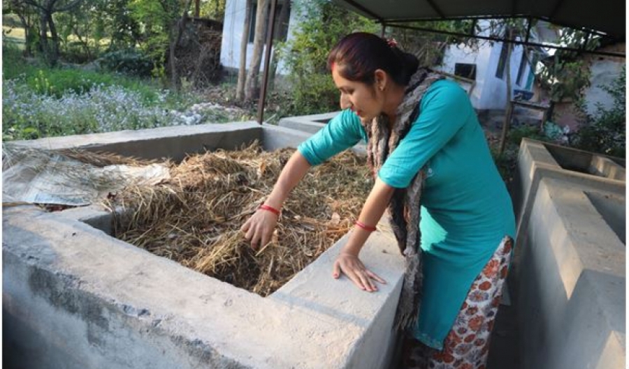 कञ्चनपुरको भीमदत्त-२ की जोशी गड्यौलाको मल उत्पादनबाट मनग्य आम्दानी गर्दै