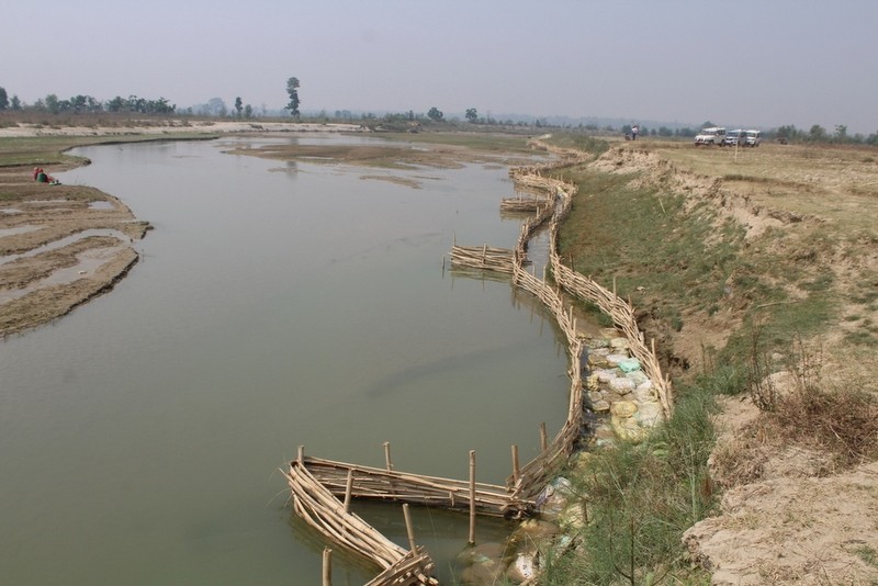 कञ्चनपुरमा जैविक तटबन्ध प्रभावकारी हुँदै गएपछि स्थानीय तहले बजेट परिचालन गर्न थाले