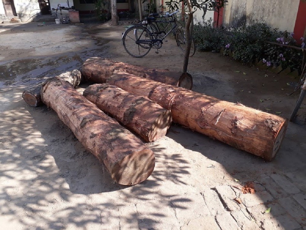 कैलालीमा ५ गोलिया सालको अवैध काठ सहित ट्याक्टर बरामद