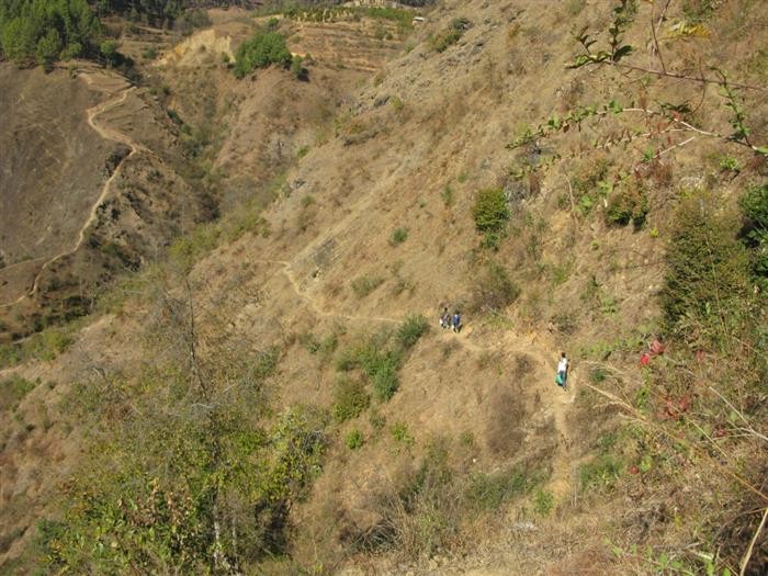 भिरबाट लडेर अछाममा एक महिलाको मृत्यु