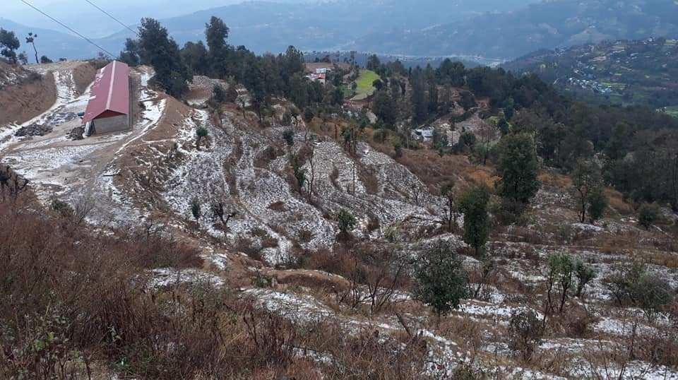 वर्षा र असिनाले सुदूरपश्चिमका पहाडी जिल्लाहरुमा बाली भित्र्याउन मुस्किल