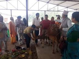 सुदुरपश्चिम प्रदेश सरकारद्वारा गौशाला निर्माणको लागी ९० लाख  खर्च