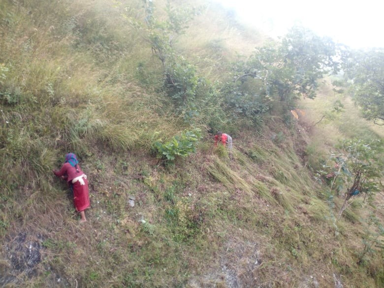 खर काट्ने क्रममा भिरबाट लडेर दुई महिनामा ६ जनाको मृत्यु