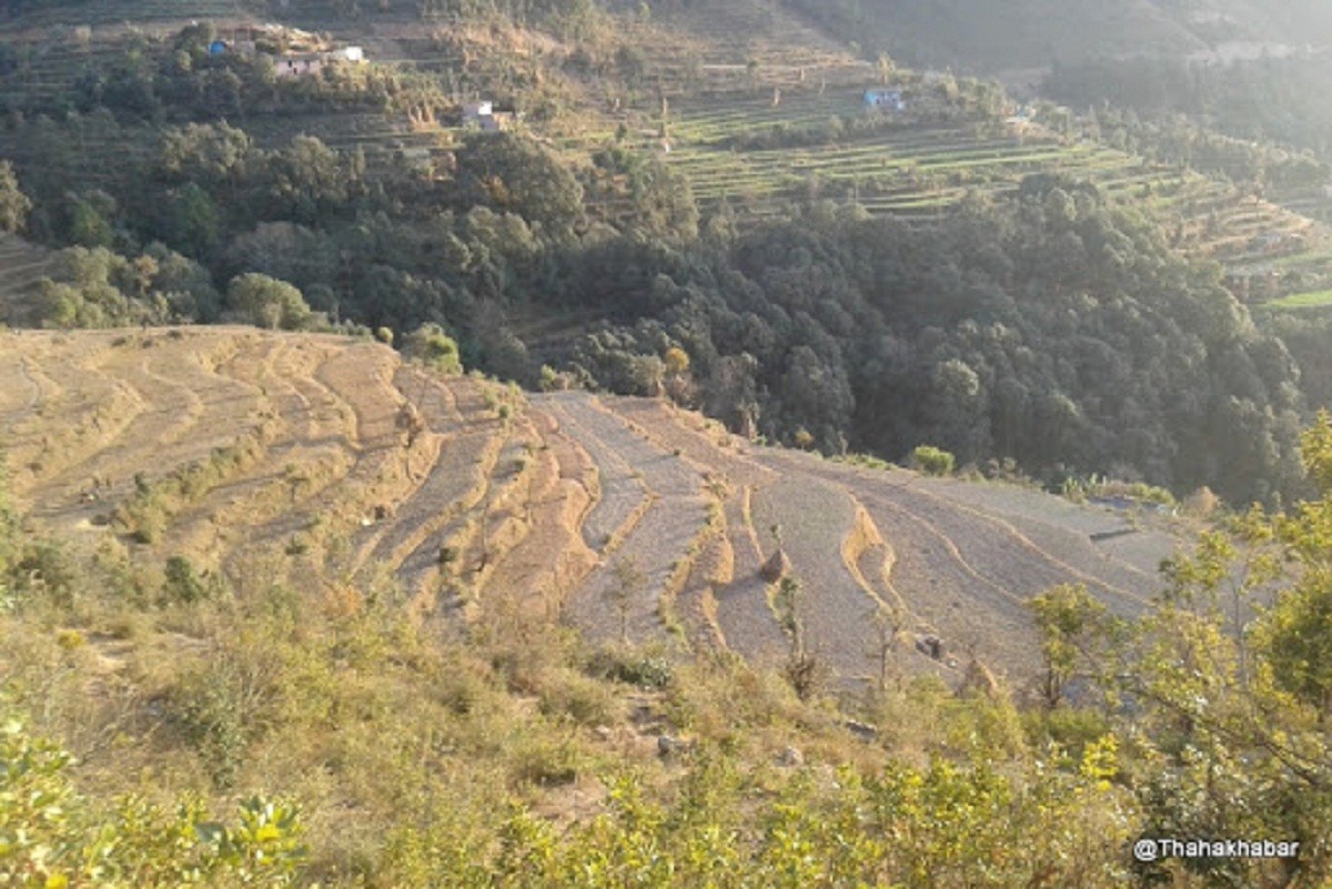 बैतडीको पाटन पञ्चेश्वर सिंचाइले सिचाई नहर भत्काएपछि खेतबारीमा सिंचाइ बन्द