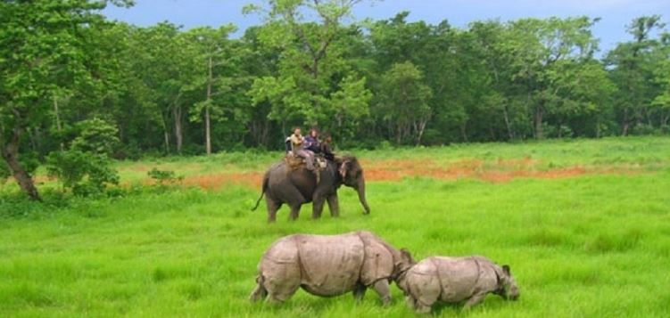 शुक्लाफाटा राष्ट्रिय निकुञ्जमा गस्तीलाई हात्तीको अभाव रहँदै