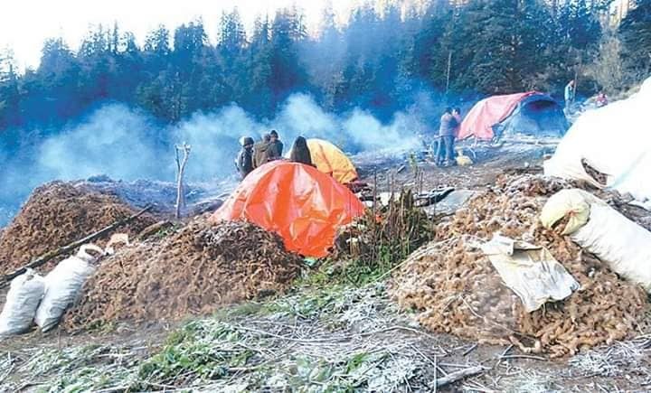 बझाङको उत्तरी नाका उरैमा तस्करकाे लस्कर