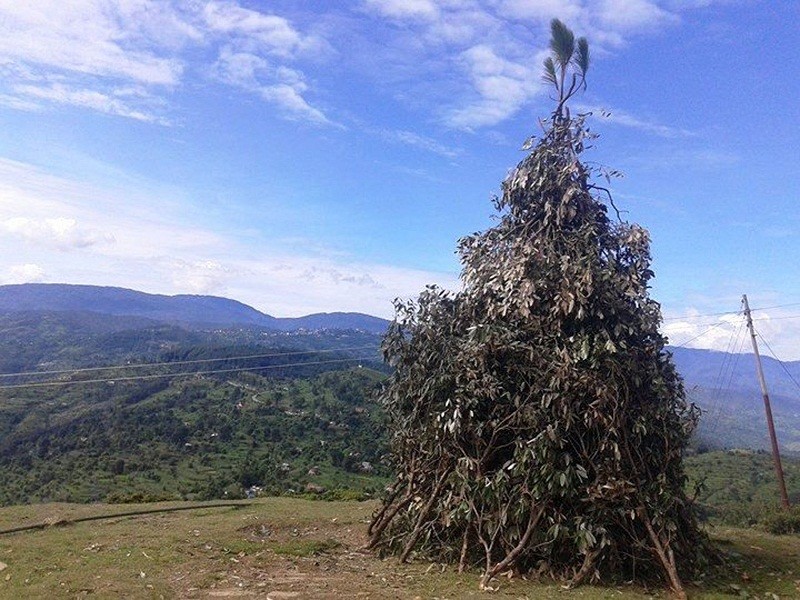 सुदूरपश्चिममा आज धुमधाम साथ बुढी पोल्ने पर्व मनाईदै