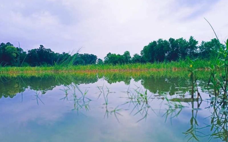 कञ्चनपुरको बेलौरीमा रहेको शोभातालको सौन्दर्यता