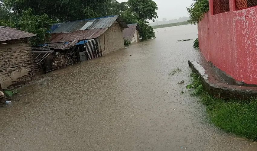 कञ्चनपुरमा नदी गाउँमा पस्दा एक सयभन्दा बढी घर डुबानमा