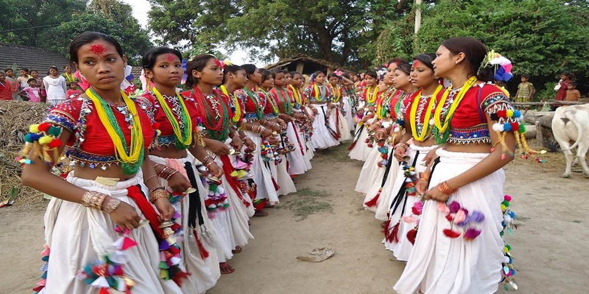 सखिया नृत्यको मौलिकता खस्किँदै जादा थारु अगुवाहरु चिन्तामा