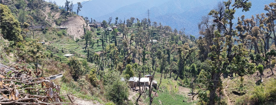 भीमदत्त राजमार्ग छेउछाउसँगैको जङ्गल क्षेत्रमा अव्यवस्थित बसोबास, बर्सेनि वन क्षेत्र अतिक्रमणको चपेटामा