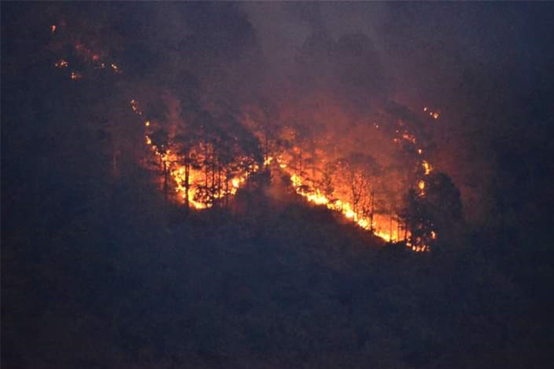 डोटीमा लामो समयपछि वर्षा  वन डढेलो निभ्दै, स्थानीयवासी खुशी