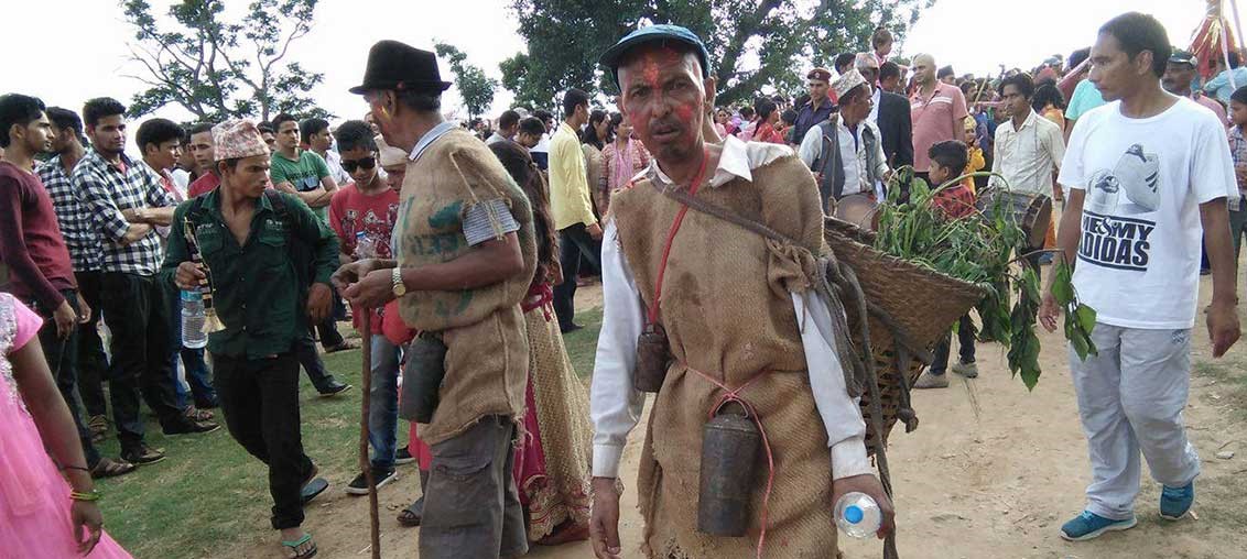 डोटीमा नेवार सामुदायले गाईजात्रा मनाए