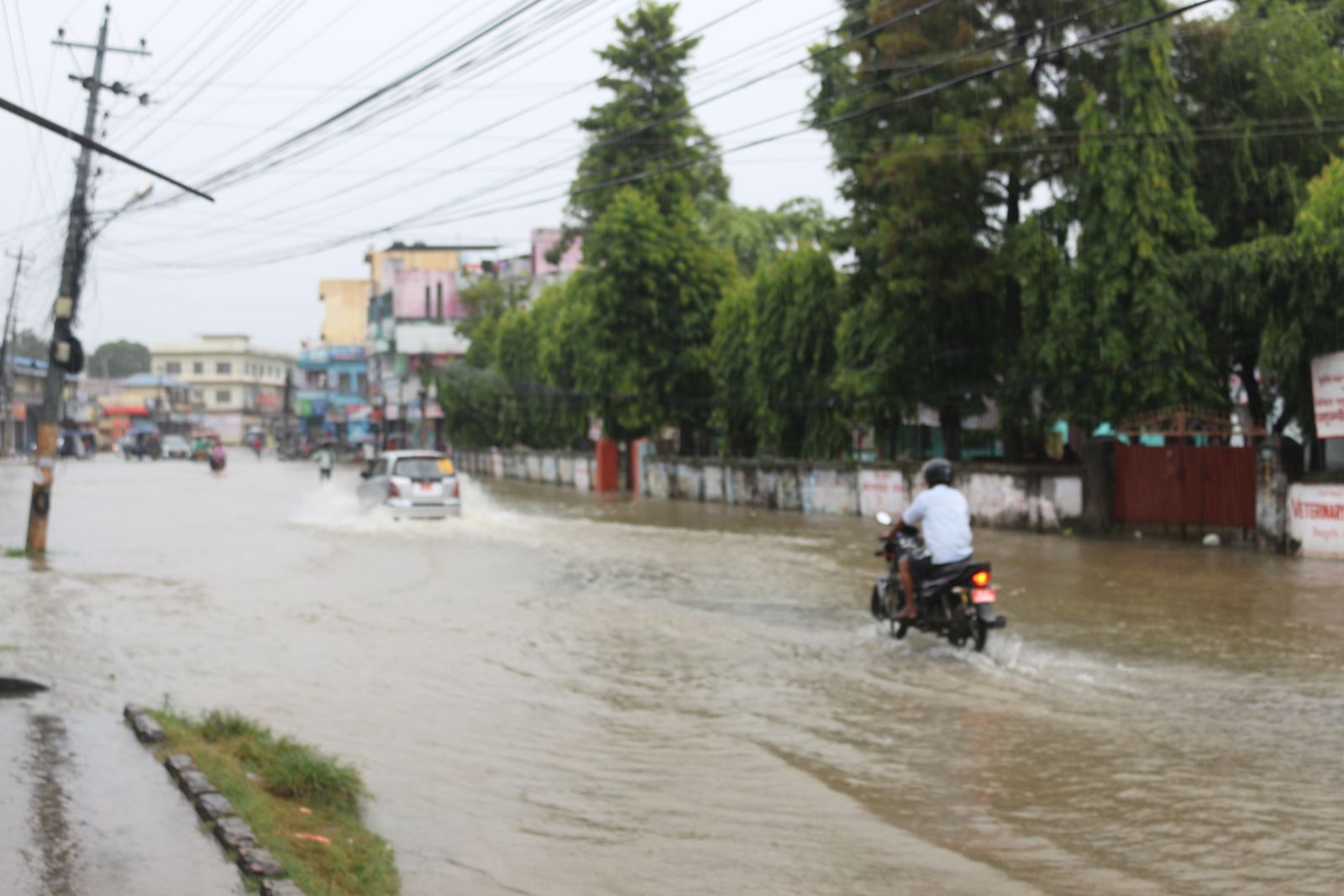 अविरल वर्षापछि यस्तो देखियो धनगढी पार्कमोड 