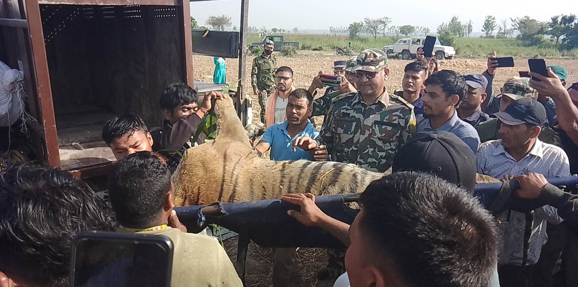 सुदूरपश्चिममा वन्यजन्तु उद्धार तथा नियन्त्रणका लागि छैन दक्ष जनशक्ति टोली