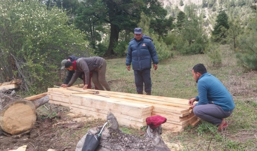 दार्चुलामा ५१ थान अवैध काठ बरामद