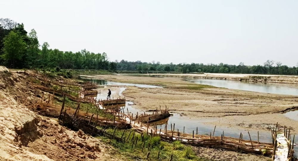 कैलालीको टिकापुरमा नदीकटानले गाउँनै जोखिममा 